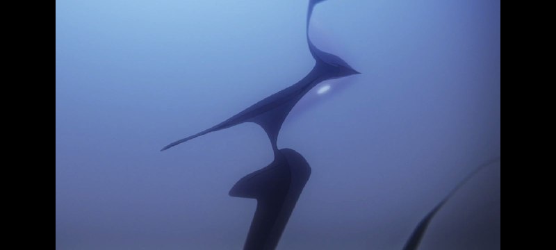 ah tai scene Shijo pergi ibadah ke taj mahal ga ada, sama scene ini 