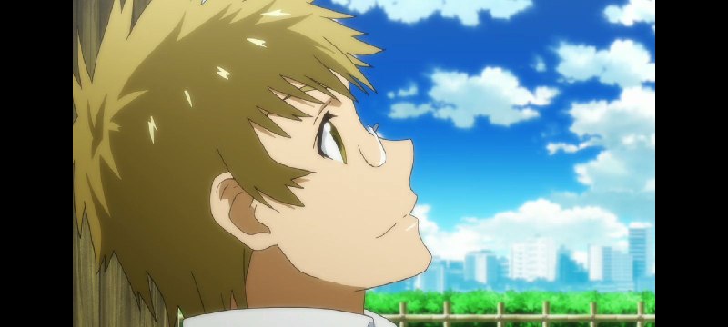 - Shū MaikoAnime : Nisekoi- Shū MaikoAnime : Nisekoi